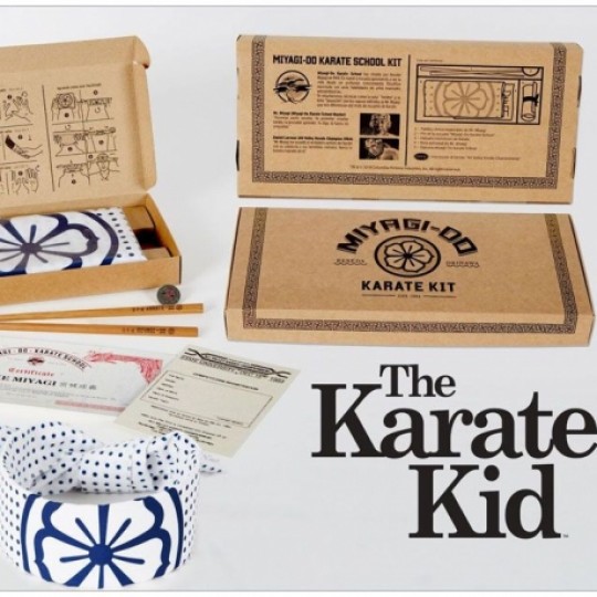 The Karate Kid Miyagi-Do Karate School Kit